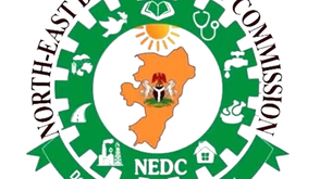 Minister, NEDC hand over multi-billion naira projects to Bauchi Gov’t