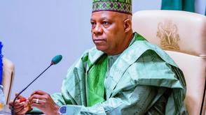 Gov't, Media must see each other as partners - Shettima