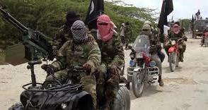 Many killed, over 100 missing as insurgents attack Borno community