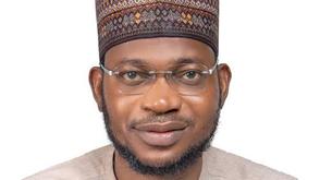 Market sustainability not power generation bane of Nigeria's power sector woes - NERC Chairman