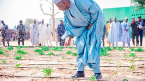 Jigawa to launch phase III of dry season agricultural loans for civil servants