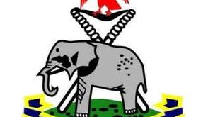 Police investigating alleged murder of 23-year-old in Ebonyi, says PPRO