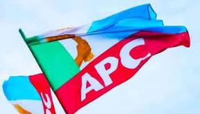 Yobe APC adopts consensus for 2027 primaries