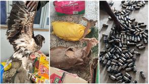 Customs intercept psychoactive drugs in Maiduguri