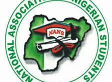 NANS warns against unauthorised appointments