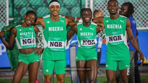 NSC sets up diaspora talent committee