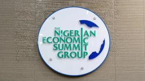 NESG calls for amendment of tax laws, PIA, others