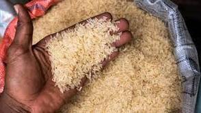 Rice farmers lament as increased import cripples sector