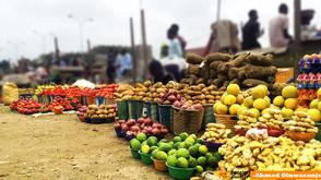Nigeria loses over 38mt of food annually — Report