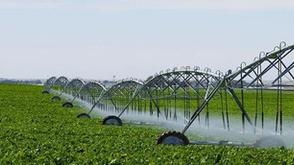 Tanzania attains 130 % food self-sufficiency as crop output surges