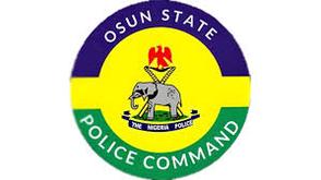 Osun: NDLEA arrests 170 suspected drug traffickers in 3 months