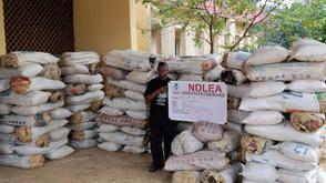 NDLEA raids Edo drug warehouse, seizes 1,378kg of cannabis