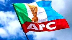 APC pegs presidential form at N100m