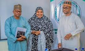 Yobe youths advocate peace, sustainable development