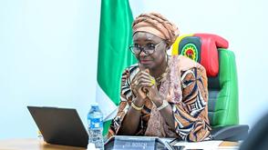 Eyesan calls for stronger African energy regulation