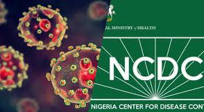 Lassa fever deaths rise to 167 in Nigeria
