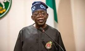 Tinubu lauds early results of new tax laws