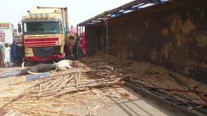 FRSC confirms 2 deaths, 20 injured in Kano crash
