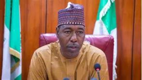 Zulum defends military airstrike, says market closed for five years