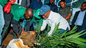 Gov.Aiyedatiwa launches 1,000-hectare coffee plantation project