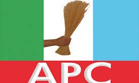 APC Italy chapter protests diaspora women summit plans