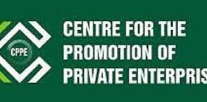 CPPE calls for accelerated reforms to improve electricity supply