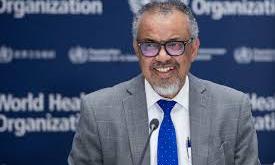 WHO chief urges community action against Ebola