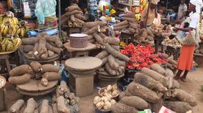 Food prices may drop by next harvest – AFAN