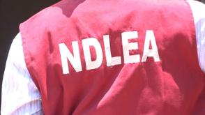 NDLEA arrests billionaire drug baron, 2 female kingpins