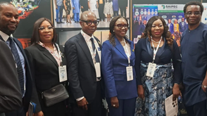 Nigeria targets zero gas flaring, boosts energy transition