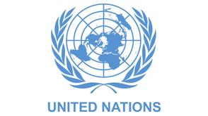 UN seeks probe into deadly airstrikes in northern Nigeria