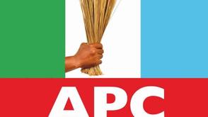 APC disowns senatorial primary results in Ekiti, Ondo, Lagos, others