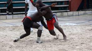 Wrestling: World now next stage for Nigeria -Adeniyi