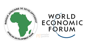 AfDB, World Economic Forum unveil new financing roadmap for frontier markets