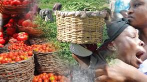 Food insecurity now security threat — Uwaleke