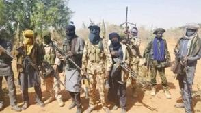 Adopt broader, non-kinetic approach to tackle insecurity as sickle cell graduate narrates ordeal in kidnappers’ den