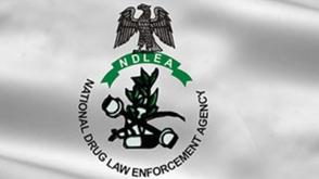 Many youths unaware of drug abuse consequences – NDLEA