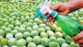 Health concerns mount over use of chemicals to ripen fruits