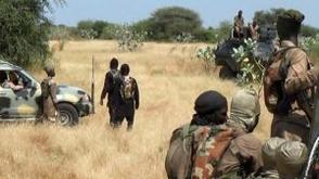 ISWAP commanders, IEDs specialist surrender to troops in Yobe