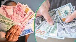 FX market inflows plunge by 26%, as CBN sustains six-week zero supply stance