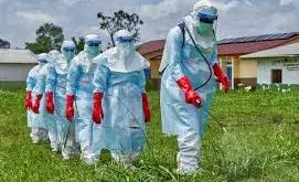 Anambra, Ebonyi, Enugu activate response mechanisms against Ebola spread