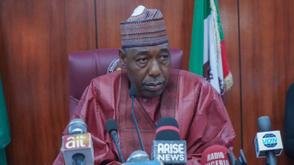 I will hand over a more secure, prosperous Borno — Zulum