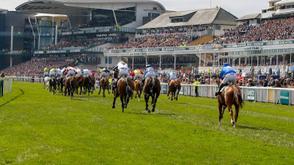 Horse Racing Federation tightens anti-doping measures with NDLEA partnership