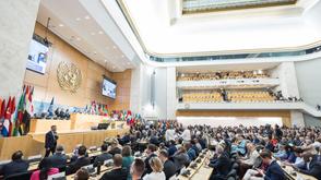 Geneva Convention: Nigerian women workers seek stronger protection against abuse
