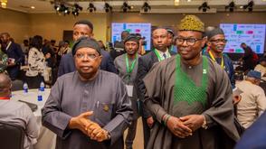 Minister of Power urges sustainable financing models for healthcare facilities electrification