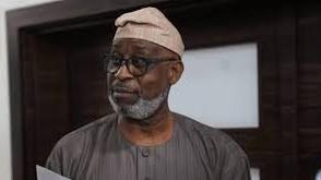 Kaduna emerges as new hub for high-grade minerals — Alake