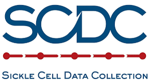 Plateau establishes sickle cell registry to strengthen data collection, planning