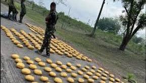Troops intercept suspected drug trafficker with 235kg cannabis on Abuja route