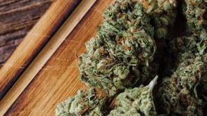 Cannabis, opioids, alcohol most common as drug cases skyrocket