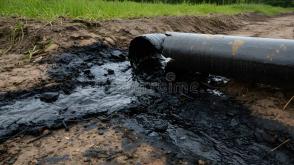Vandals allegedly hit Trans-Niger pipeline, as residents desert community